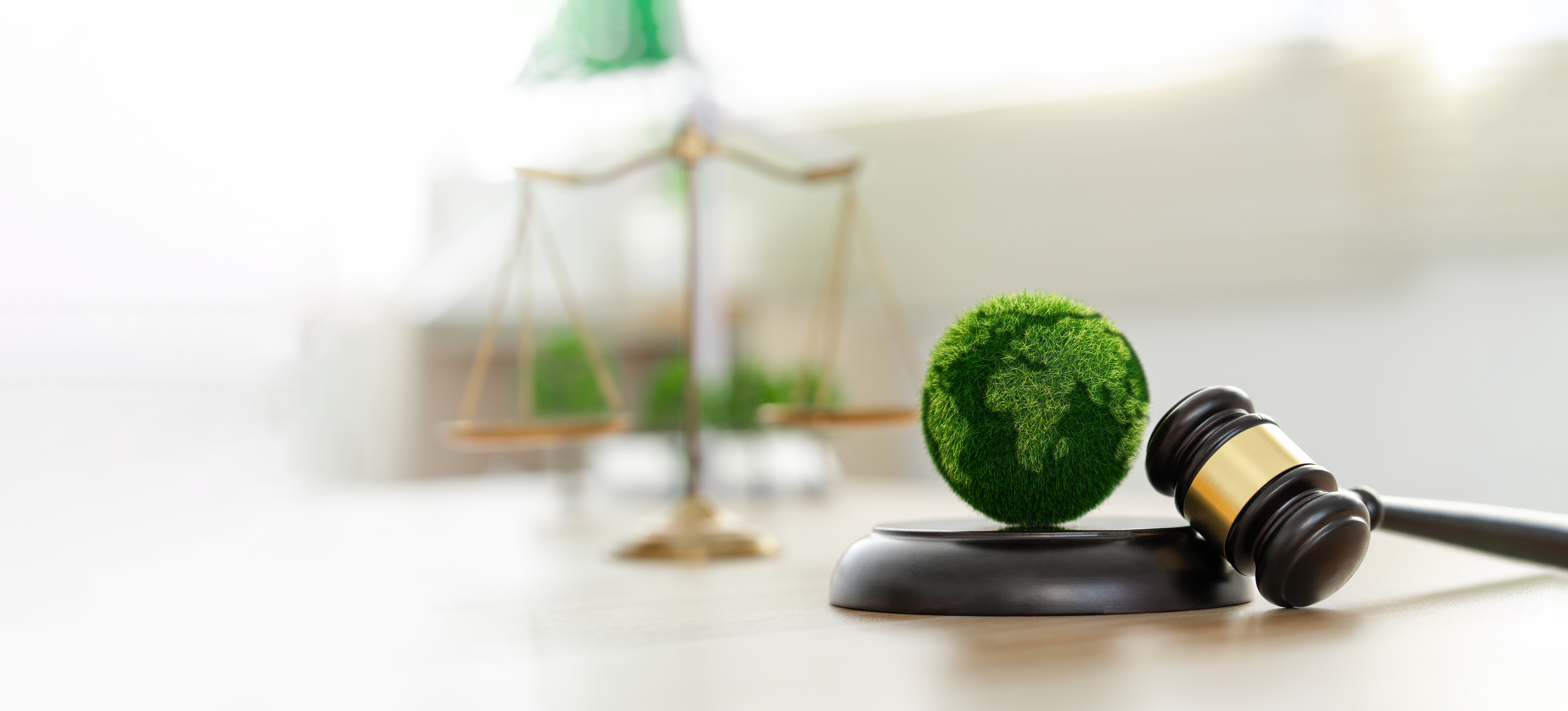 Legal hammer placed on the desk