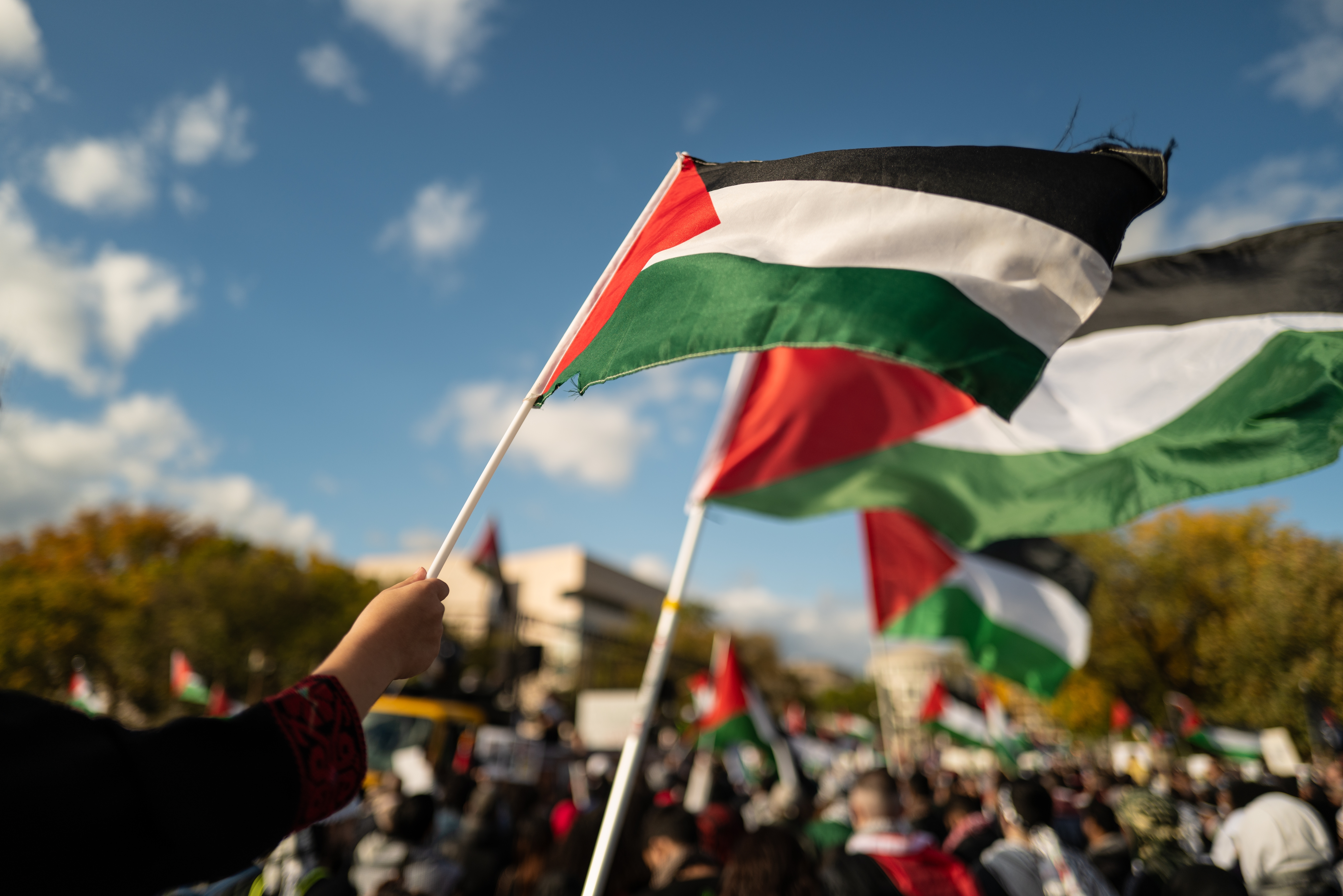 Palestinian Flag raised during protest