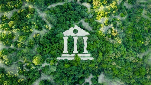Birds eye view of forest with court symbol in the centre