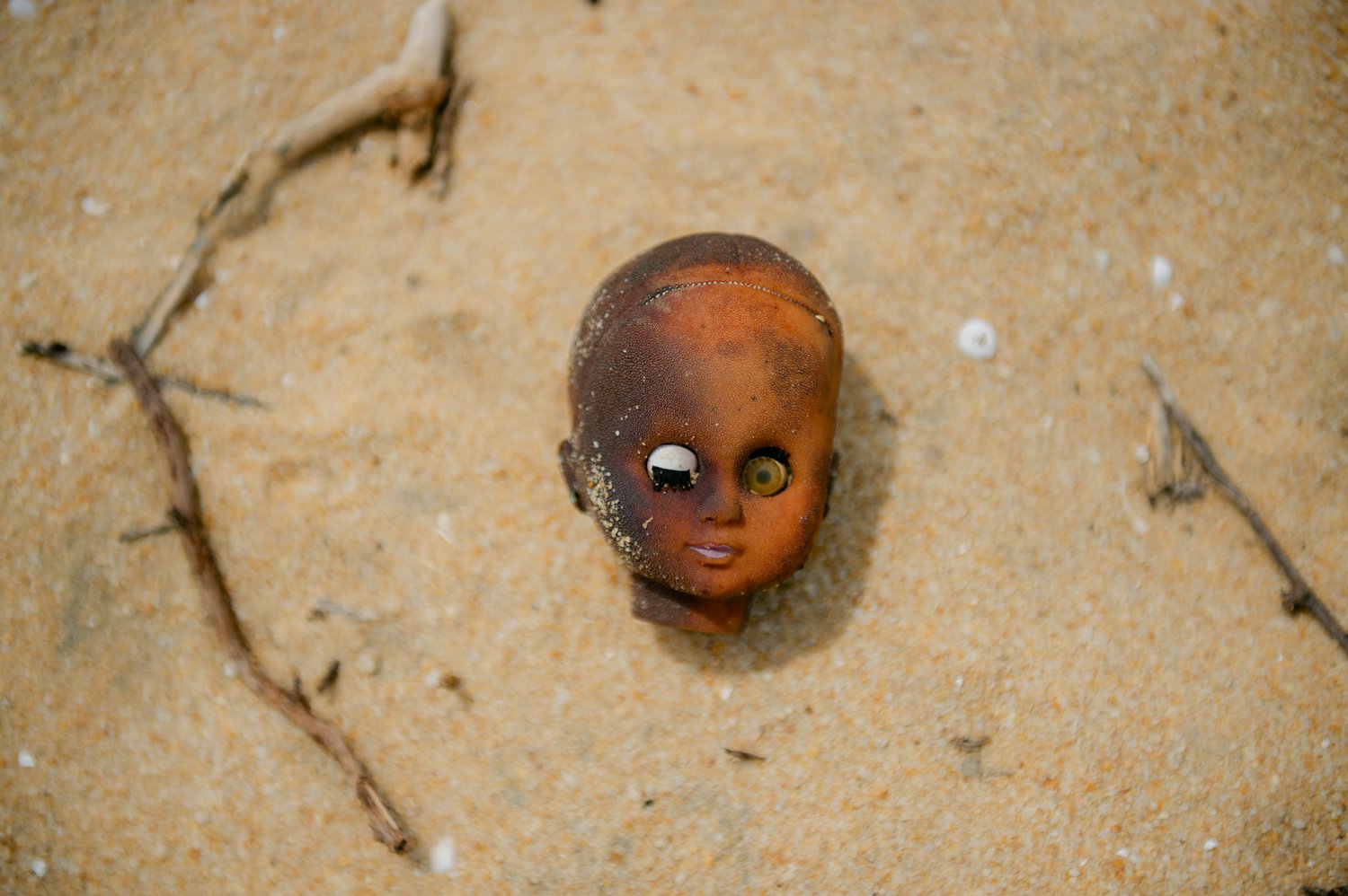 Doll head on the ground