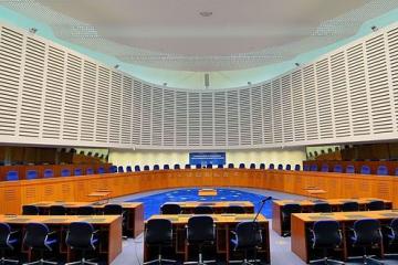 European Court of human rights